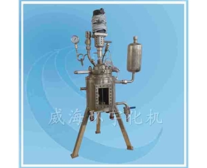 上海Visible Glass Reactor