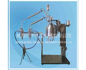 上海10L Esterification Reactor with Lifting Device