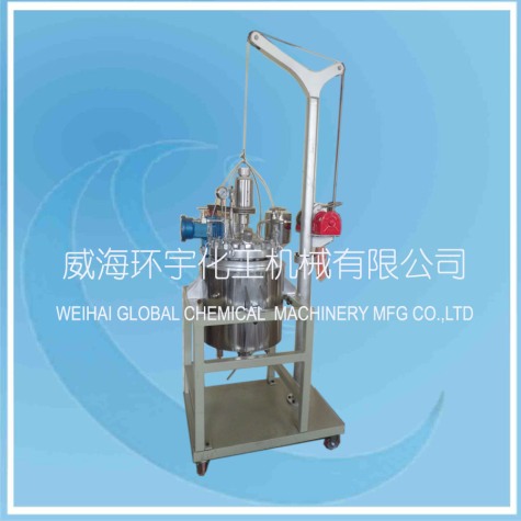 上海20L Stainless Steel Lifting Reactor