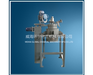 上海20L Electric Lifting Reactor