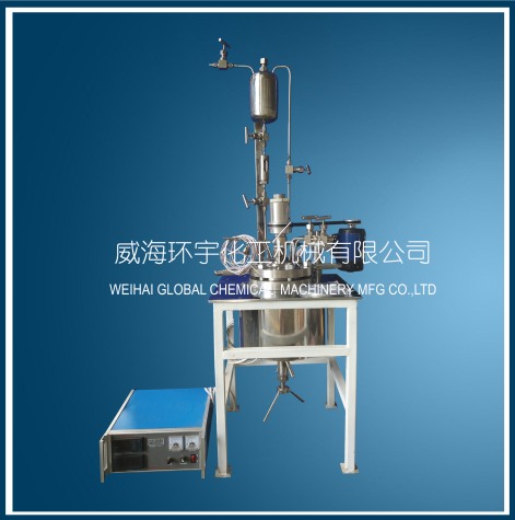 上海2L Lab Reactor with Feeding Port