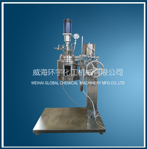 上海1L Visual Glass Reactor