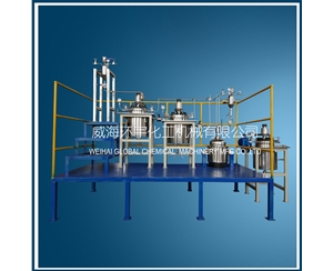 上海5L Hydrogenation Reactor System