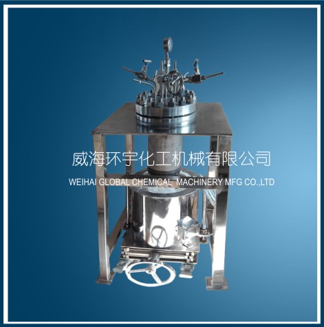 上海5L Hastelloy Reactor with Removable Heater