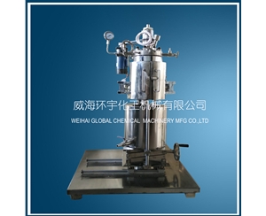 上海2L Lifting Reactor