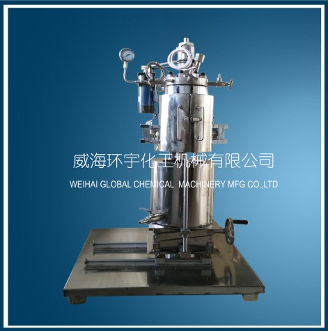 上海2L Lifting Reactor