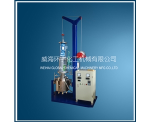 上海5L Stainless Steel Lifting Reactor