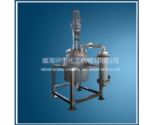 上海200L Reactor with Mechanical Seal