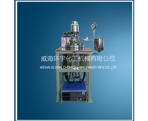 上海5L Hydrogenation Reactor with Explosion proof Motor