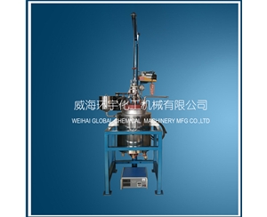 上海20L Lifting  Reactor with PFA lining