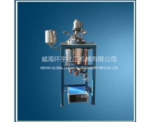 上海10L Thermal Oil Heating Reactor