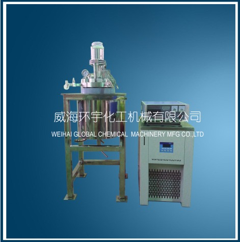 上海5L high pressure low temperature reactor