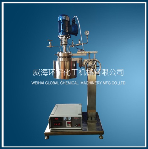 上海GSH-0.5L Hydrogenation Reactor with Ex-proof Motor and Lifting Device